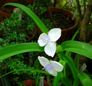 DSCN9594.4.jpg