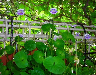 DSCN9597.4.jpg