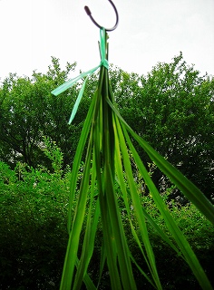 DSCN9712.4.jpg