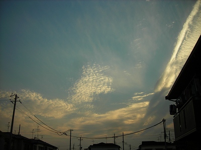 DSCN9723.4.jpg