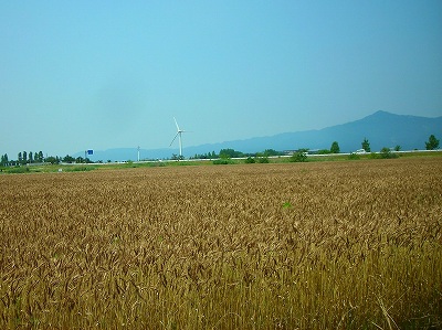 DSCN9802.4.jpg