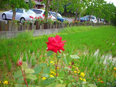 DSCN9931.4.jpg